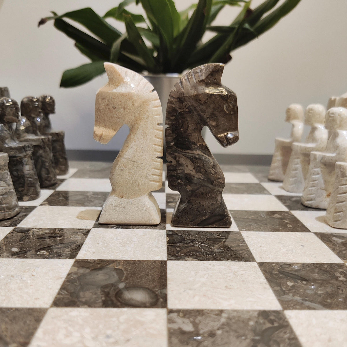 Close-up of grey and beige marble knights